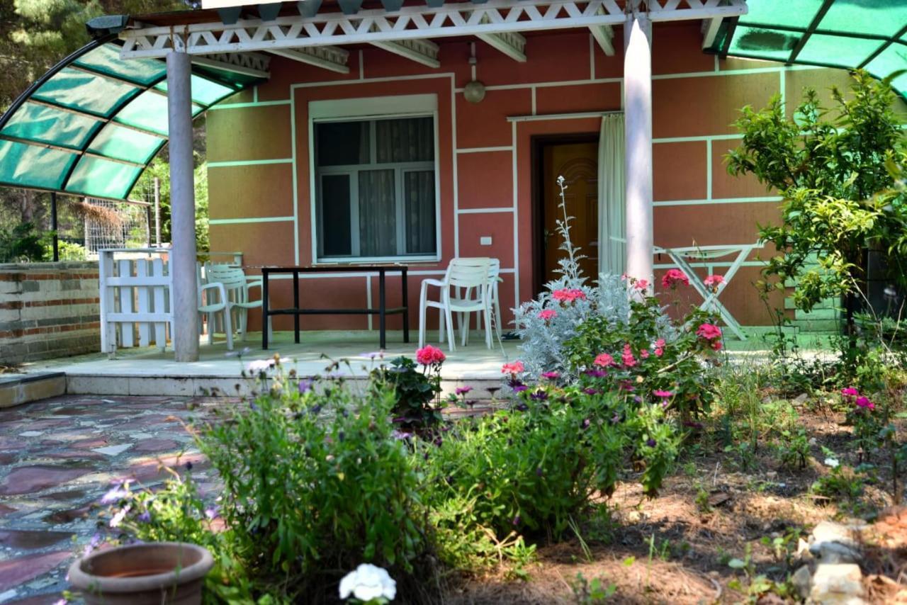 Villas Apartments Shahaj Vlorë Exterior foto